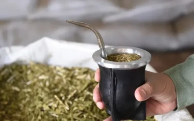 LA MITAD DE LOS ARGENTINOS PREFIERE COMPRAR YERBA MATE EN PAQUETES DE MEDIO KILO