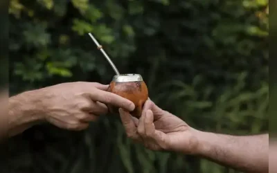 POR QUÉ NO ALCANZA CON TOMAR DOS O TRES MATES