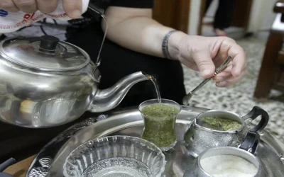 EL MATE LLEGA A LA INDIA