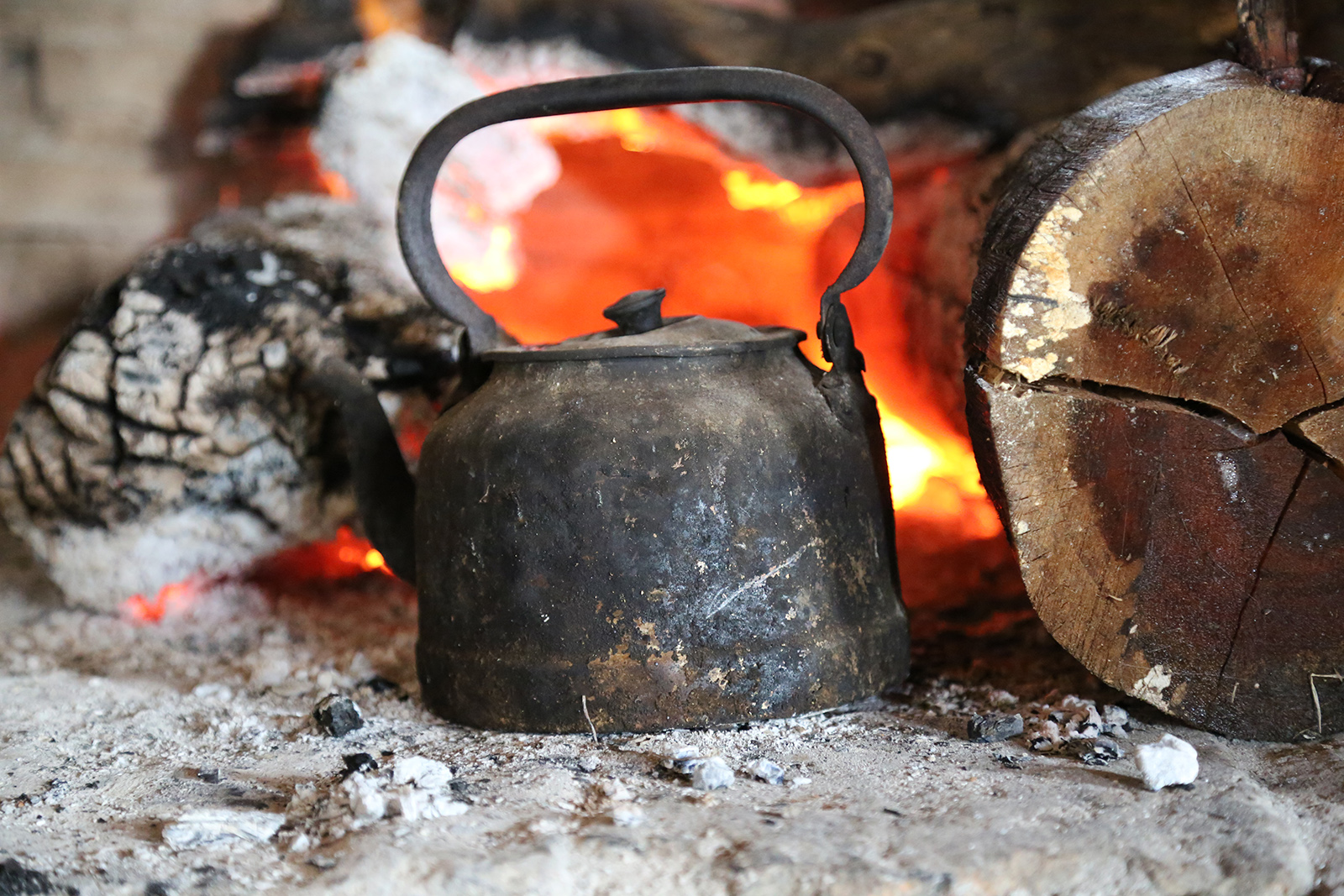 mate caliente 3