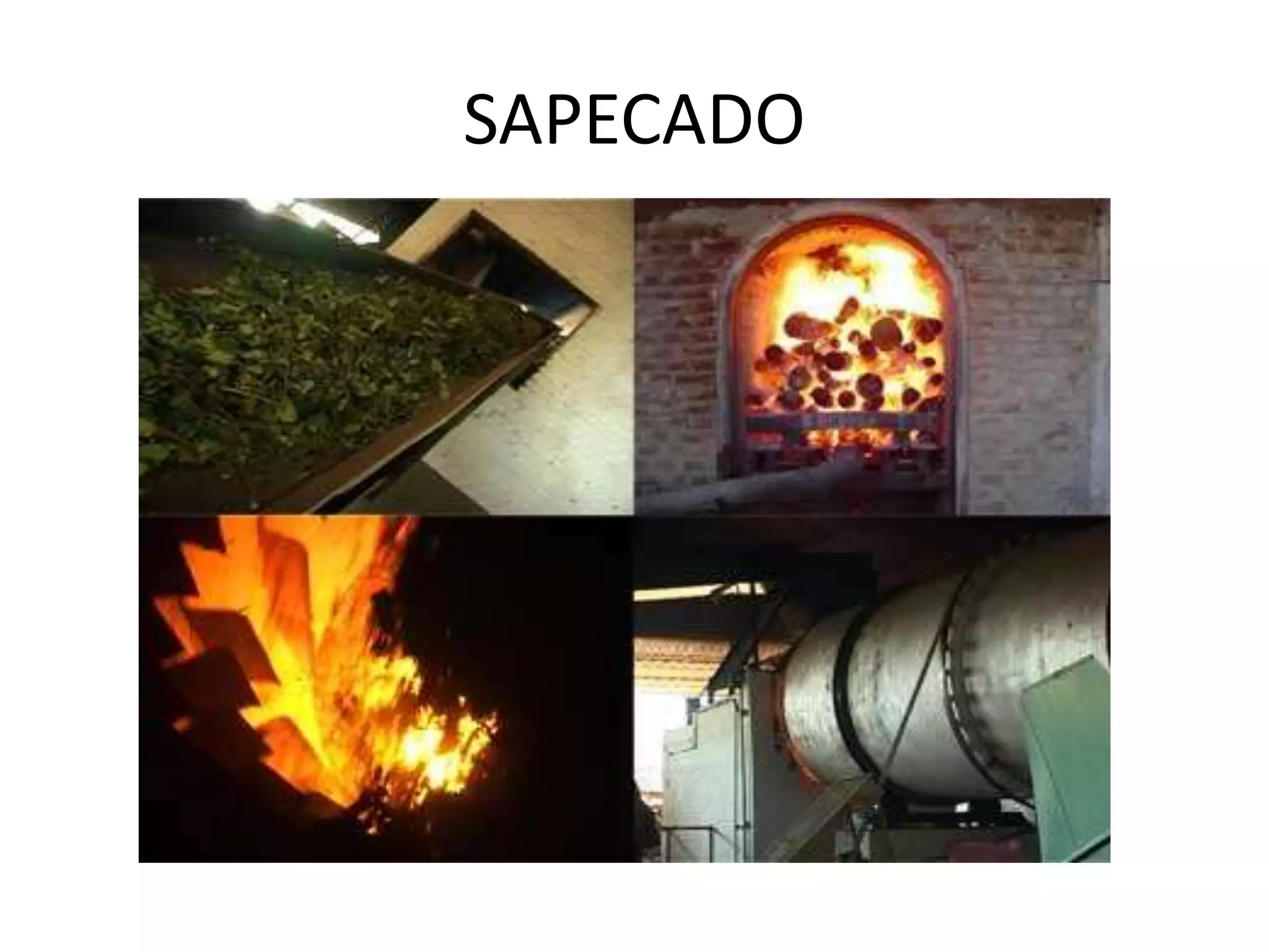 sapecar 1