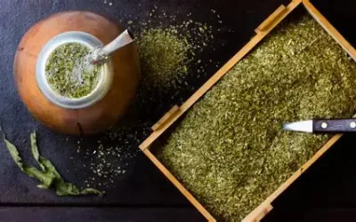 ADAPTACIÓN: LA YERBA MATE ARGENTINA SE REINVENTA