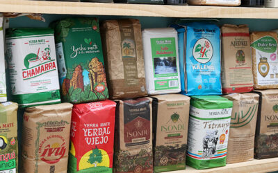 Recomendación: ¿CUÁL ES LA MEJOR YERBA MATE?
